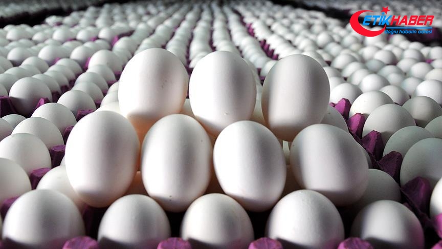 Devlet başkanı yardımcısının yumurtalarını çaldılar: 4 gözaltı