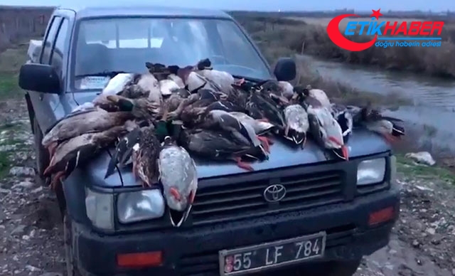 37 yaban ördeği öldüren avcılara 22 bin 595 lira ceza