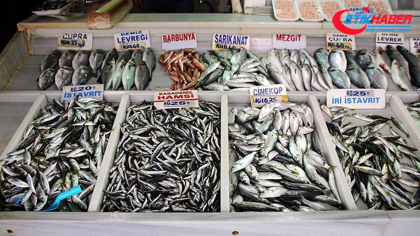 Balık fiyatları yükselişe geçti
