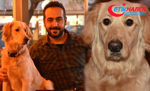 Kafe sahibi köpeği 'Bobo'yu kadına şiddet gösterenlere karşı eğitti