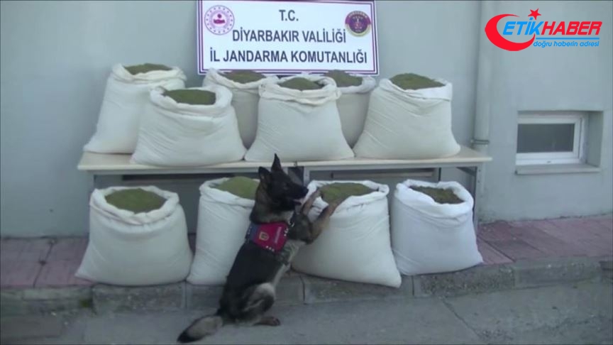 Diyarbakır'da 346 kilogram esrar ele geçirildi