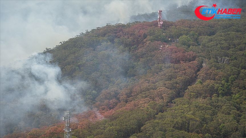 Avustralya'daki yangınlarda yaklaşık 5 milyon hektarlık alan kül oldu