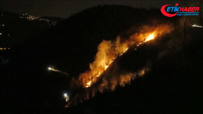 Trabzon'daki örtü yangınları tamamen söndürüldü