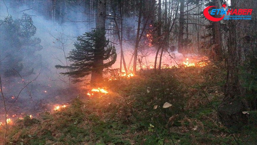 Uludağ'da orman yangını çıktı