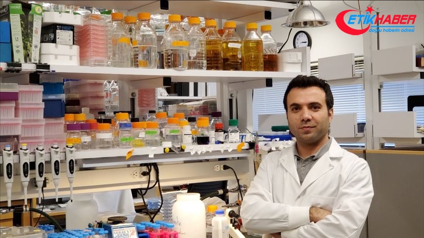 Harvardlı Türk bilim insanına 400 bin dolarlık araştırma ödülü