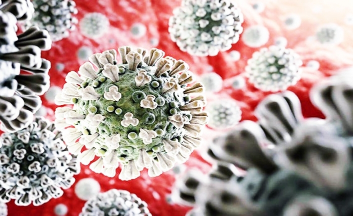 Korona virüste ikinci dalga ihtimali en yüksek 10 ülke açıklandı