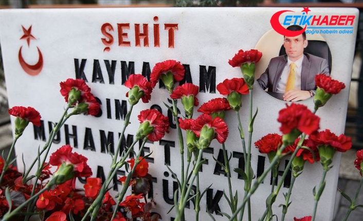 Yargıtay Derik Kaymakamı Safitürk'ün şehit edilmesi davasında Mesutoğlu'nun cezasını onadı