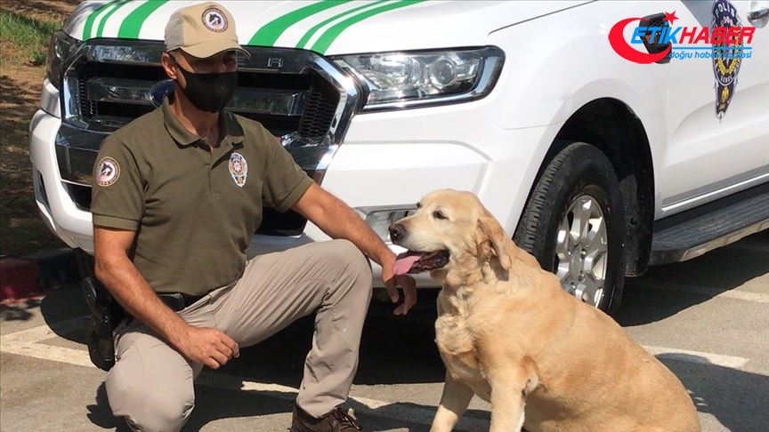 'Çevre, Doğa ve Hayvanları Koruma' polisleri Adana'da göreve başladı