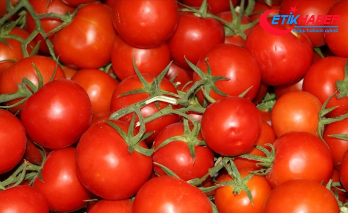 İstanbullular 2020 yılında en çok domates ve patates tüketti