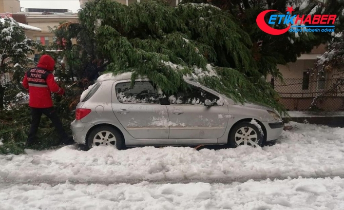 Zonguldak'ta yoğun kar yağışından devrilen ağaçlar 20 otomobile zarar verdi