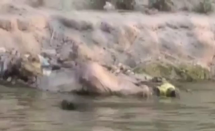 Ganj Nehri kıyısına 71 ceset vurdu