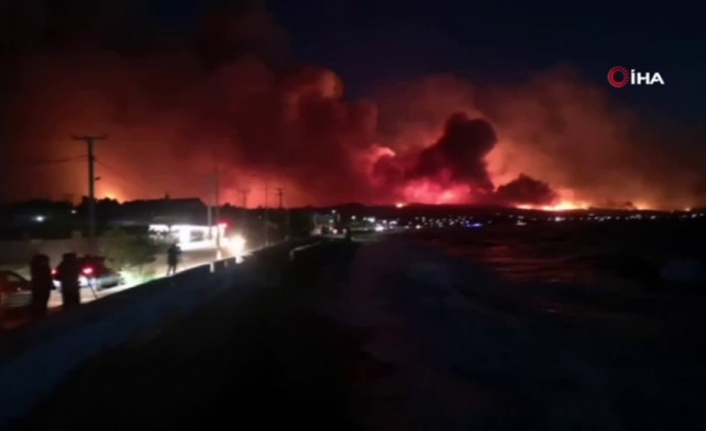 Yunanistan’daki orman yangını 40 bin dönümden fazla alanı küle çevirdi
