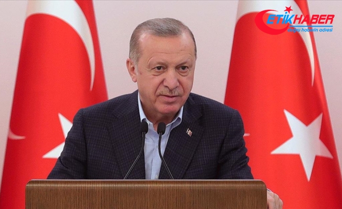 Cumhurbaşkanı Erdoğan'dan 'Dünya Çevre Günü' mesajı: Çevrenin korunması bütün insanlığın ortak meselesidir