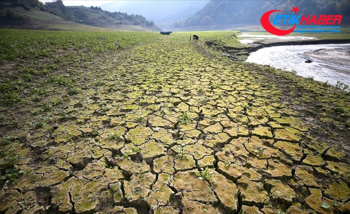 Her yıl çölleşme ve kuraklık nedeniyle 12 milyon hektar arazi kaybediliyor