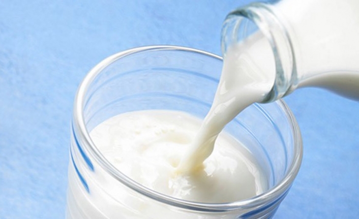 İnek sütü miktarı yüzde 1,8 arttı