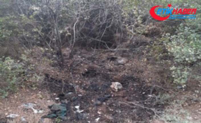 İzmir'de orman yangını çıkarmak isteyen şüpheli, PKK/KCK üyesi çıktı