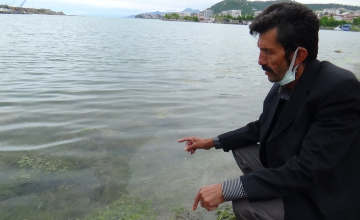 Marmara Denizi’ndeki müsilaj Karadenizli balıkçıları endişelendiriyor