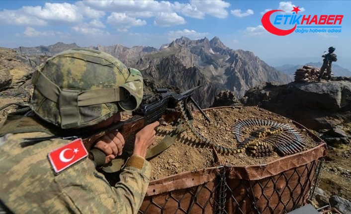 Pençe-Yıldırım ve Pençe-Şimşek operasyonlarında 5 PKK'lı terörist etkisiz hale getirildi