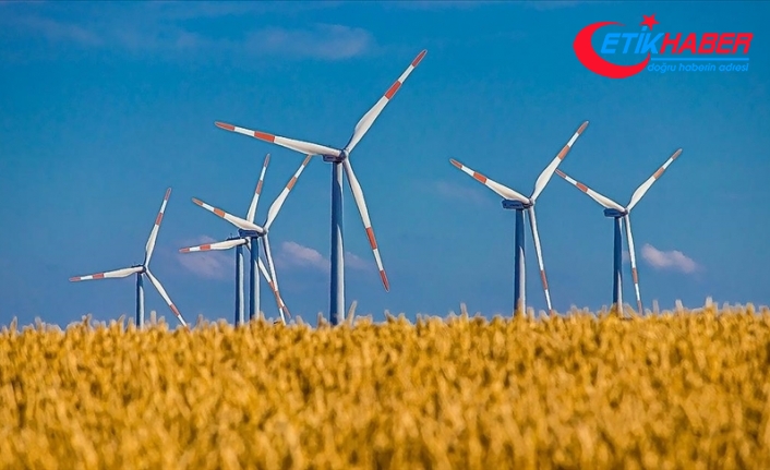 Rüzgar, yükselen kapasitesiyle yenilenebilir enerjide payını artırıyor