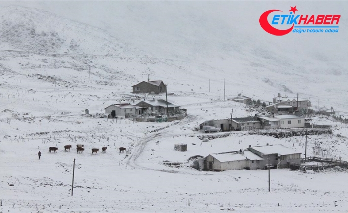 Karadeniz'de 5 ilin yüksek kesimlerinde kar etkili oluyor