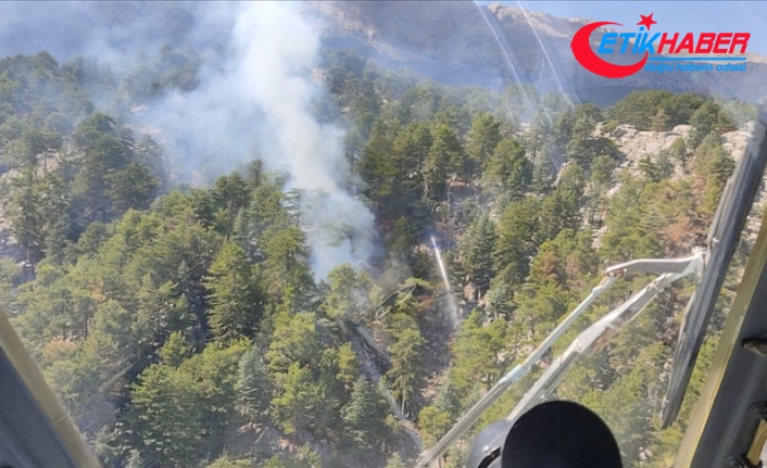 Manavgat'ta çıkan orman yangınına müdahale ediliyor