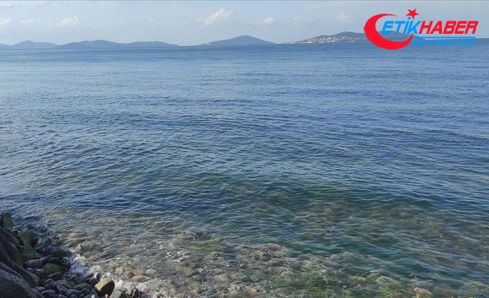 Marmara Denizi'nde yeni tehlike 'oksijen azlığı'