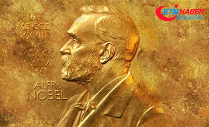2021 Nobel Tıp Ödülü 'ısı ve temas reseptörlerinin keşfi'ne verildi