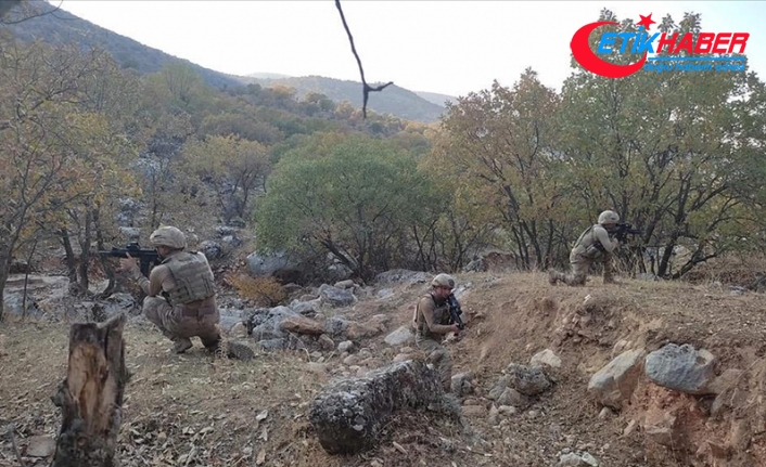 Bitlis'te Eren Kış-7 Şehit Jandarma Teğmen Baki Koçak Operasyonu başlatıldı