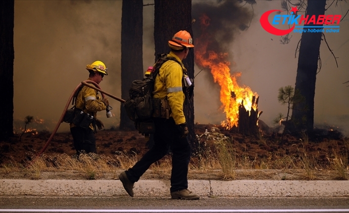 ABD'nin Kuzey Carolina eyaletindeki orman yangınında 400 hektar alan zarar gördü