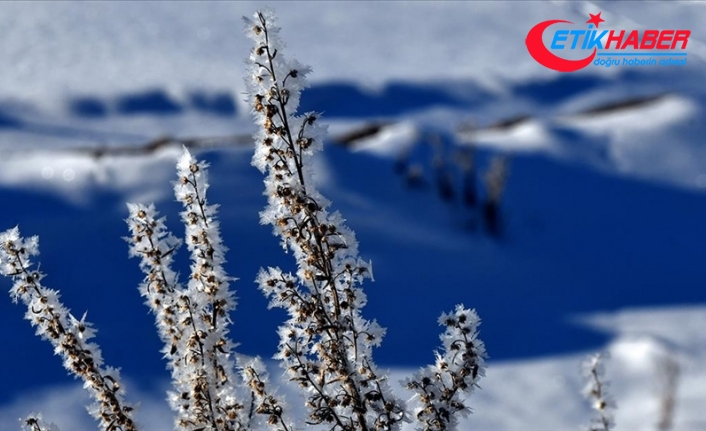 Doğu Anadolu'daki 7 ilde kar yağışı etkisini sürdürecek