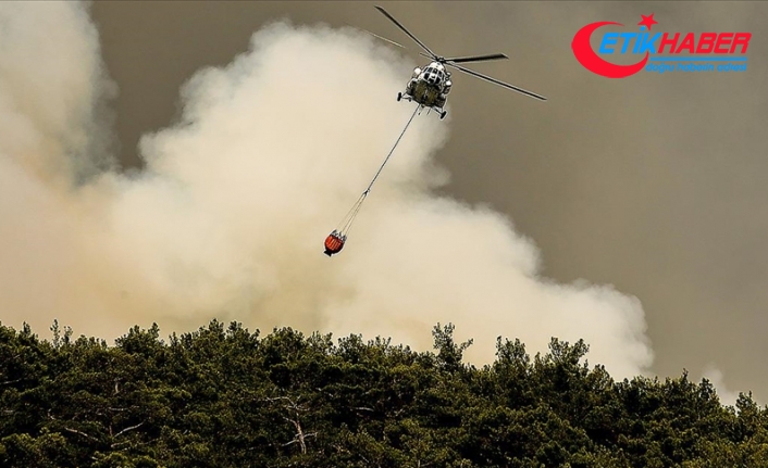 Manavgat'ta çakmakla orman yangını çıkaran sanığa 15 yıl hapis cezası