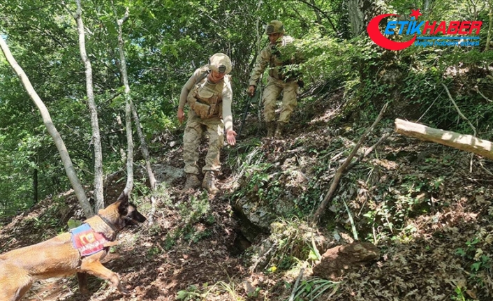 Amanoslar kırsalında PKK'lı teröristlerin kullandığı iki sığınak ve bir depo bulundu