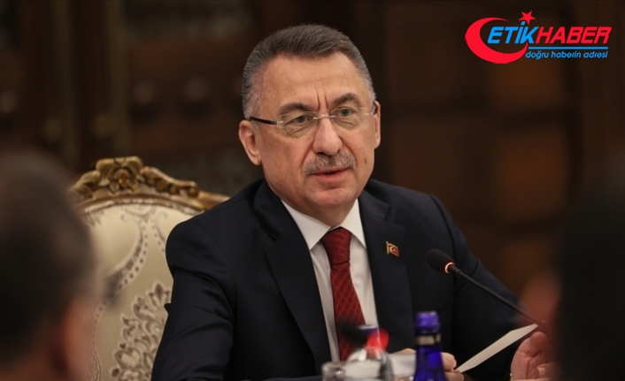 Cumhurbaşkanı Yardımcısı Oktay'dan Düzce'deki depreme ilişkin açıklama
