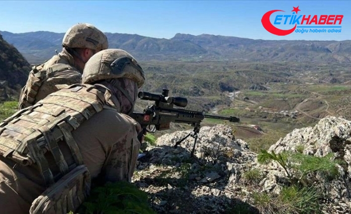 Diyarbakır'da PKK'nın Ape Musa gücü olarak bilinen sözde güçten 2 terörist etkisiz hale getirildi