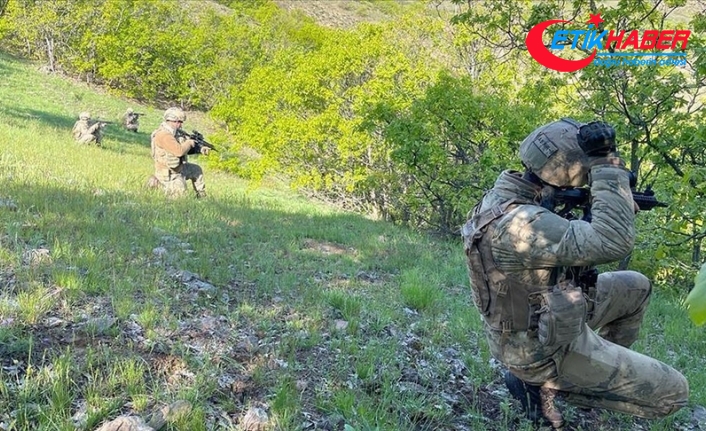 Eren Abluka-17 Operasyonu'nda 2 terörist silahlarıyla etkisiz hale getirildi