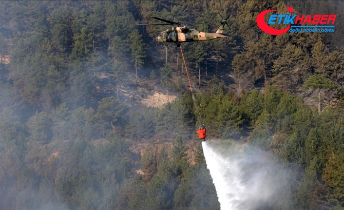 Kütahya'daki orman yangını kontrol altına alındı