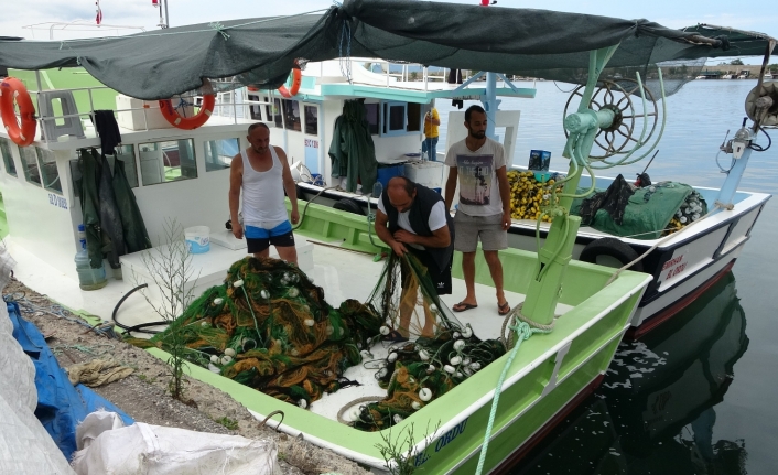 Balıkçıların umudu palamut: “Palamut şimdiden yarım kilograma ulaştı”