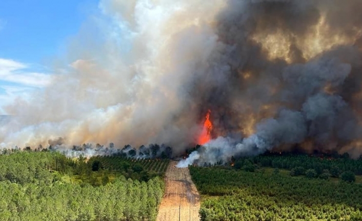 Fransa’nın güneybatısında orman yangını: 6 bin hektar alan kül oldu