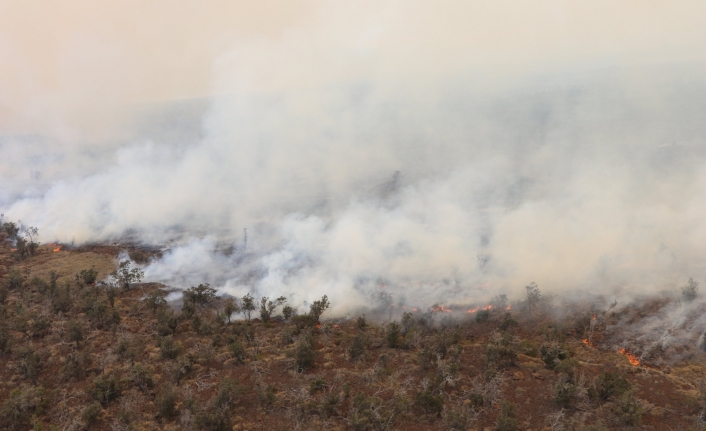 Hawaii’de çalılık alanda yangın: 9 bin 800 hektar alan kül oldu