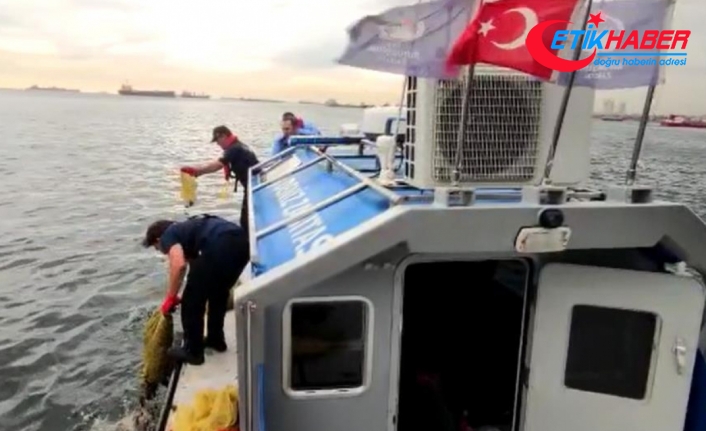 Kaçak avlanan 2,5 ton kara kıllı midye ve 500 kilo deniz salyangozu ele geçirildi