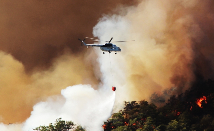 “Orman yangınlarının yüzde 87’si insan kaynaklı”