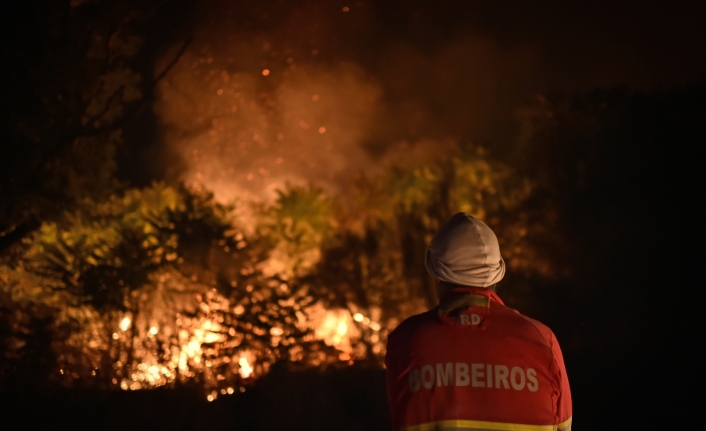 Portekiz’deki orman yangınında 15 bin hektar alan kül oldu