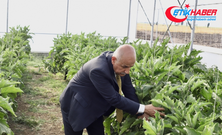 Bakan Kirişci: “Yılın ilk 8 ayında tarım ürünleri ihracatımız 21,5 milyar dolar”