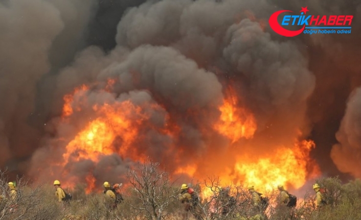 California’da orman yangınları sürüyor