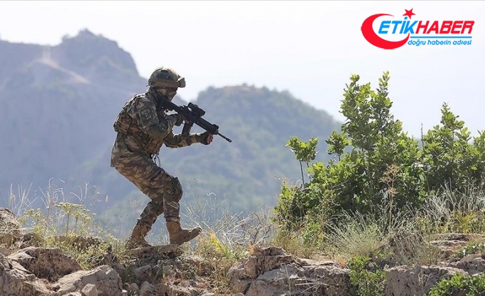 Barış Pınarı bölgesinde 7 PKK/YPG'li terörist etkisiz hale getirildi