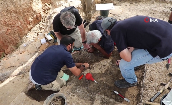 İsrail’de 500 bin yıllık dev fildişi keşfedildi