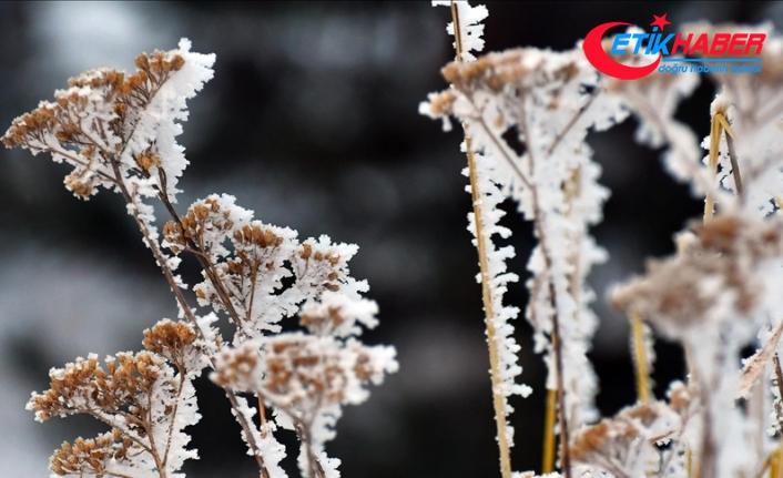 Kars'ta kar, Erzurum ve Ardahan'da soğuk hava etkili oluyor