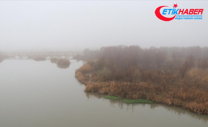 Sivas'ta sis nedeniyle görüş mesafesi 10 metreye düştü