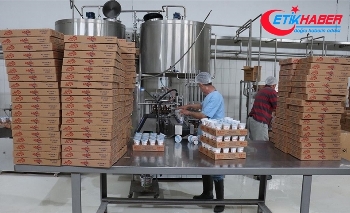 Depremzede üreticilerden toplanan sütle yapılan yoğurt ve ayran afetzedelere dağıtılıyor
