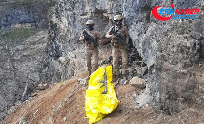Turuncu kategoride aranan PKK'lı terörist Hakkari'de etkisiz hale getirildi
